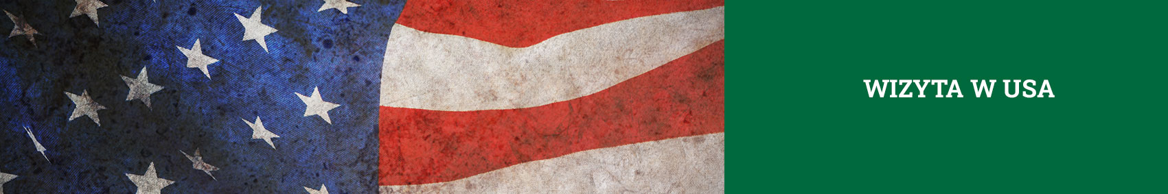 Grafika ozdobna z amerykańską flagą z napisem wizyta w USA