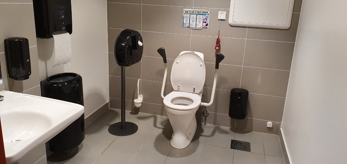 Zdjęcie wyposażenia toalety. Sedes ze zintegrowanymi, ruchomymi pochwytami. Po obydwu stronach przestrzeń manewrowa ograniczona koszem na śmieci – z jednej strony, ruchomym podajnikiem na papier toaletowy – z drugiej. 